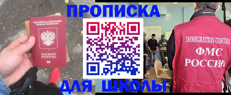 где прописаться в Павловске